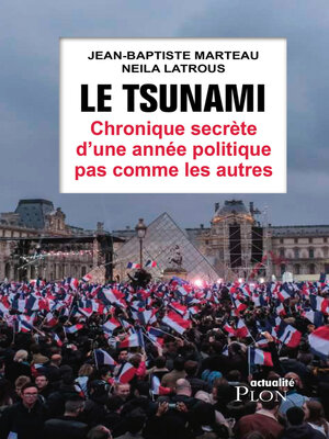 cover image of Le tsunami